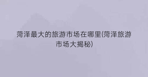 菏泽最大的旅游市场在哪里(菏泽旅游市场大揭秘)