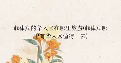 菲律宾的华人区在哪里旅游(菲律宾哪里有华人区值得一去)