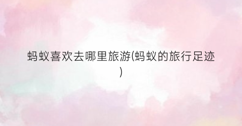 蚂蚁喜欢去哪里旅游(蚂蚁的旅行足迹)