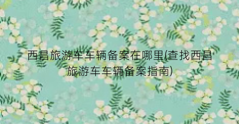 西昌旅游车车辆备案在哪里(查找西昌旅游车车辆备案指南)