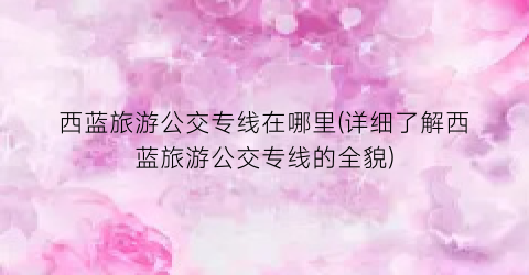 西蓝旅游公交专线在哪里(详细了解西蓝旅游公交专线的全貌)