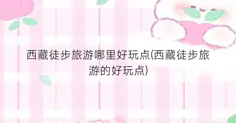西藏徒步旅游哪里好玩点(西藏徒步旅游的好玩点)