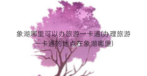 象湖哪里可以办旅游一卡通(办理旅游一卡通的地点在象湖哪里)