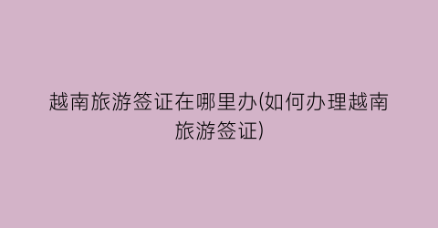 越南旅游签证在哪里办(如何办理越南旅游签证)