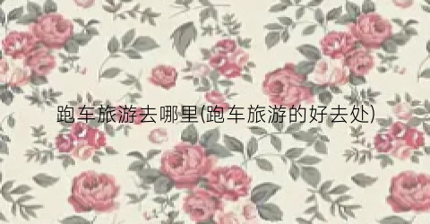跑车旅游去哪里(跑车旅游的好去处)