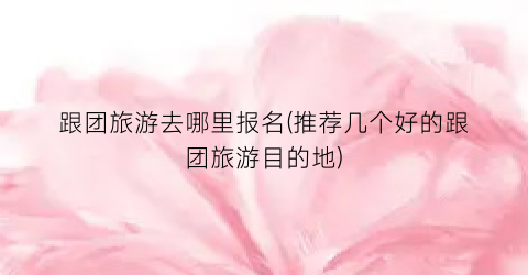 跟团旅游去哪里报名(推荐几个好的跟团旅游目的地)