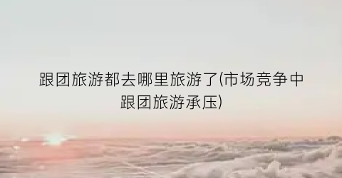跟团旅游都去哪里旅游了(市场竞争中跟团旅游承压)
