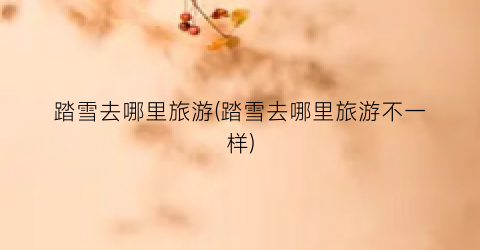 踏雪去哪里旅游(踏雪去哪里旅游不一样)