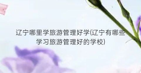 辽宁哪里学旅游管理好学(辽宁有哪些学习旅游管理好的学校)
