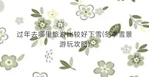 过年去哪里旅游比较好下雪(冬季雪景游玩攻略)
