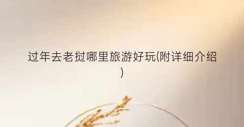 过年去老挝哪里旅游好玩(附详细介绍)