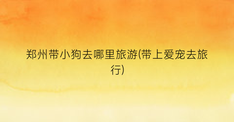 郑州带小狗去哪里旅游(带上爱宠去旅行)