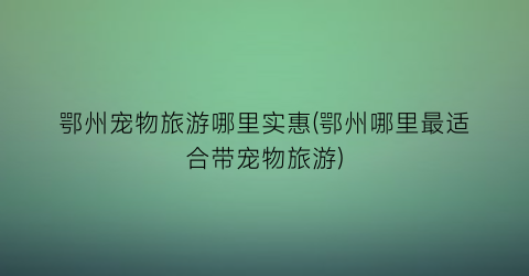 鄂州宠物旅游哪里实惠(鄂州哪里最适合带宠物旅游)