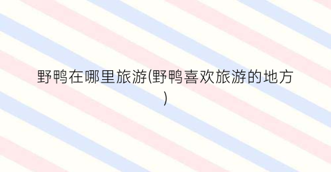 野鸭在哪里旅游(野鸭喜欢旅游的地方)