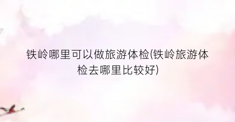 铁岭哪里可以做旅游体检(铁岭旅游体检去哪里比较好)