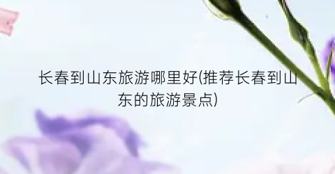 长春到山东旅游哪里好(推荐长春到山东的旅游景点)