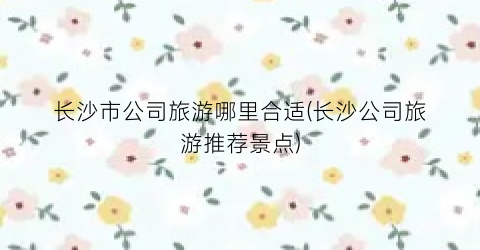 长沙市公司旅游哪里合适(长沙公司旅游推荐景点)