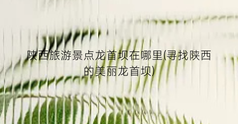 陕西旅游景点龙首坝在哪里(寻找陕西的美丽龙首坝)