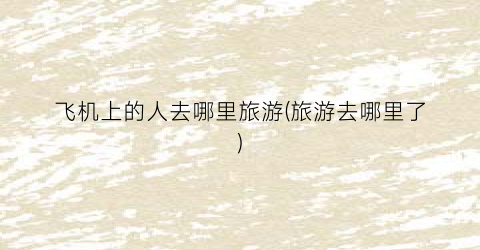 飞机上的人去哪里旅游(旅游去哪里了)
