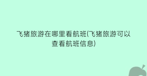 飞猪旅游在哪里看航班(飞猪旅游可以查看航班信息)
