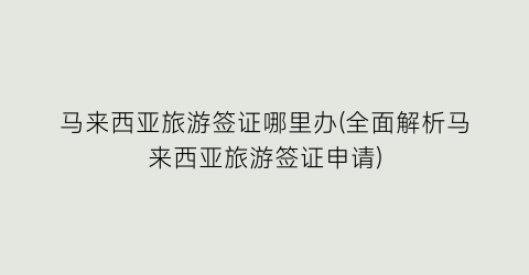 马来西亚旅游签证哪里办(全面解析马来西亚旅游签证申请)