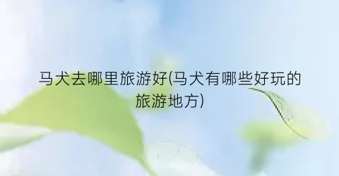 马犬去哪里旅游好(马犬有哪些好玩的旅游地方)