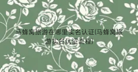 马蜂窝旅游在哪里实名认证(马蜂窝旅游实名认证流程)