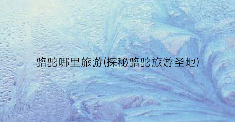 骆驼哪里旅游(探秘骆驼旅游圣地)