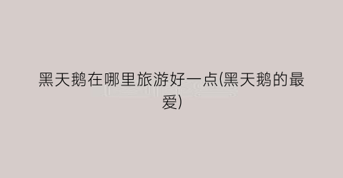 黑天鹅在哪里旅游好一点(黑天鹅的最爱)