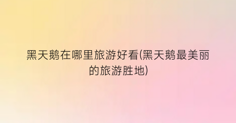 黑天鹅在哪里旅游好看(黑天鹅最美丽的旅游胜地)