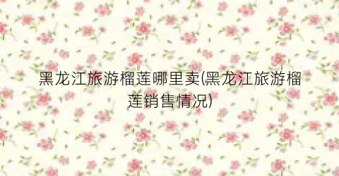 黑龙江旅游榴莲哪里卖(黑龙江旅游榴莲销售情况)