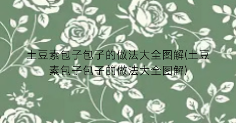 土豆素包子包子的做法大全图解(土豆素包子包子的做法大全图解)
