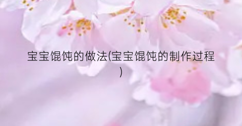宝宝馄饨的做法(宝宝馄饨的制作过程)