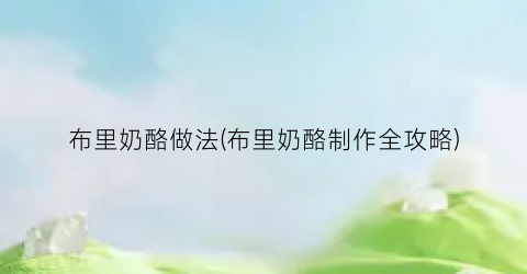 布里奶酪做法(布里奶酪制作全攻略)