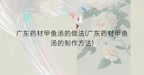 广东药材甲鱼汤的做法(广东药材甲鱼汤的制作方法)