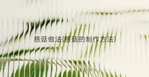 “慈菇做法(慈菇的制作方法)