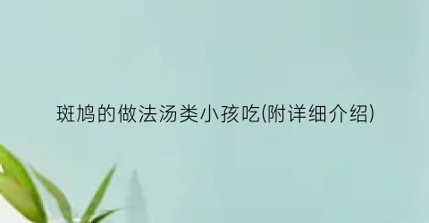 斑鸠的做法汤类小孩吃(附详细介绍)
