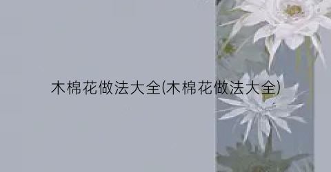 木棉花做法大全(木棉花做法大全)
