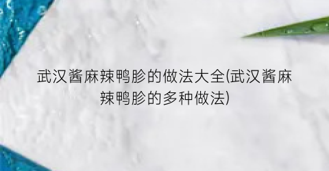武汉酱麻辣鸭胗的做法大全(武汉酱麻辣鸭胗的多种做法)