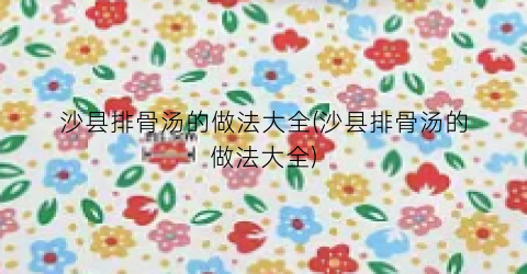 沙县排骨汤的做法大全(沙县排骨汤的做法大全)