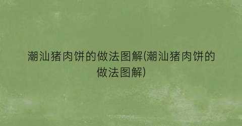 “潮汕猪肉饼的做法图解(潮汕猪肉饼的做法图解)