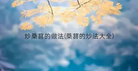 炒桑葚的做法(桑葚的炒法大全)