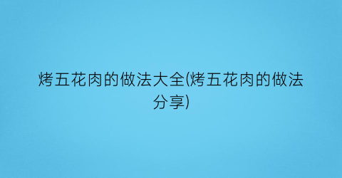 烤五花肉的做法大全(烤五花肉的做法分享)