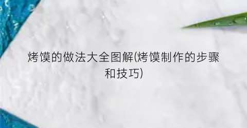 烤馍的做法大全图解(烤馍制作的步骤和技巧)