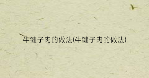 “牛键子肉的做法(牛键子肉的做法)