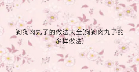 狗狗肉丸子的做法大全(狗狗肉丸子的多样做法)