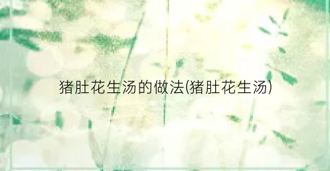 猪肚花生汤的做法(猪肚花生汤)