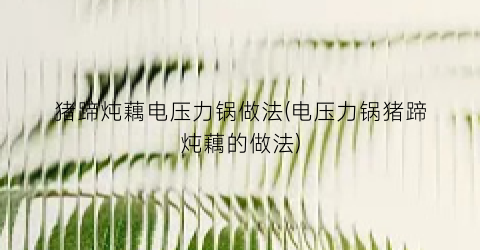 猪蹄炖藕电压力锅做法(电压力锅猪蹄炖藕的做法)
