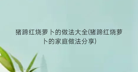 猪蹄红烧萝卜的做法大全(猪蹄红烧萝卜的家庭做法分享)