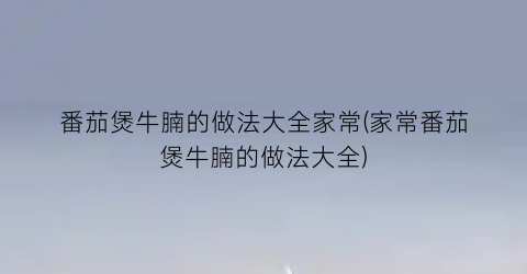 番茄煲牛腩的做法大全家常(家常番茄煲牛腩的做法大全)